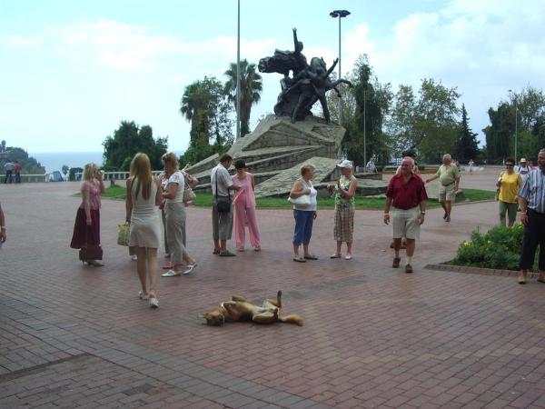 Площадь Ататюрка. Счастливая собака. Ataturk Square. Lucky dog in front.